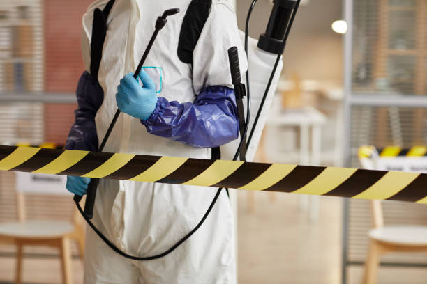 Professional Sewage Cleanup technician working in Dorchester Center, MA
